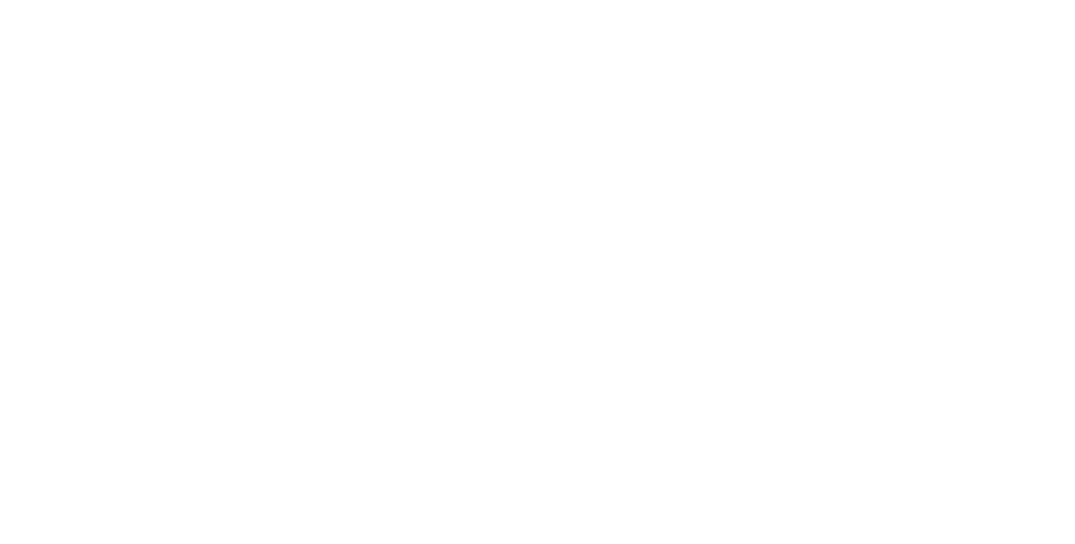 NetWise - Dun &Bradstreet Logo_NetWise White